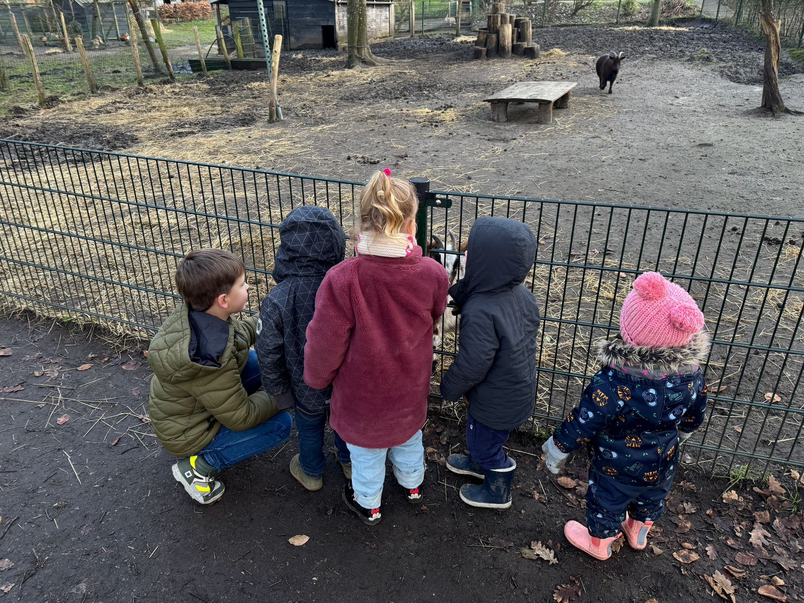 Professionele kinderopvang